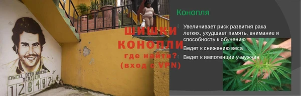 ПСИЛОЦИБИНОВЫЕ ГРИБЫ Заводоуковск