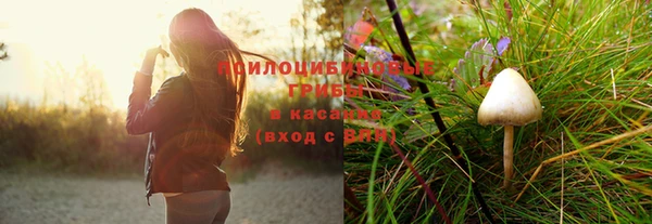 mix Зерноград