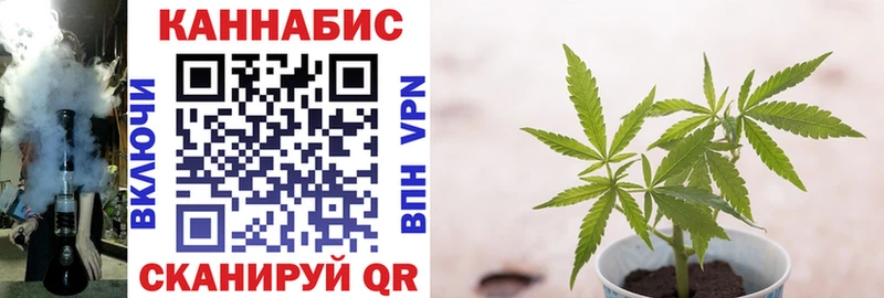 Купить где  Великие Луки  Шишки марихуана планчик 
